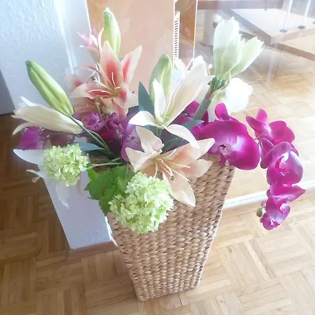 公寓 Maisonette Bodensee-traum *