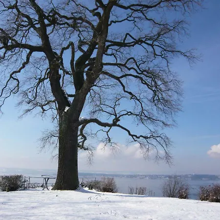 Maisonette Bodensee-traum 公寓 *
