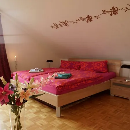 公寓 Maisonette Bodensee-traum